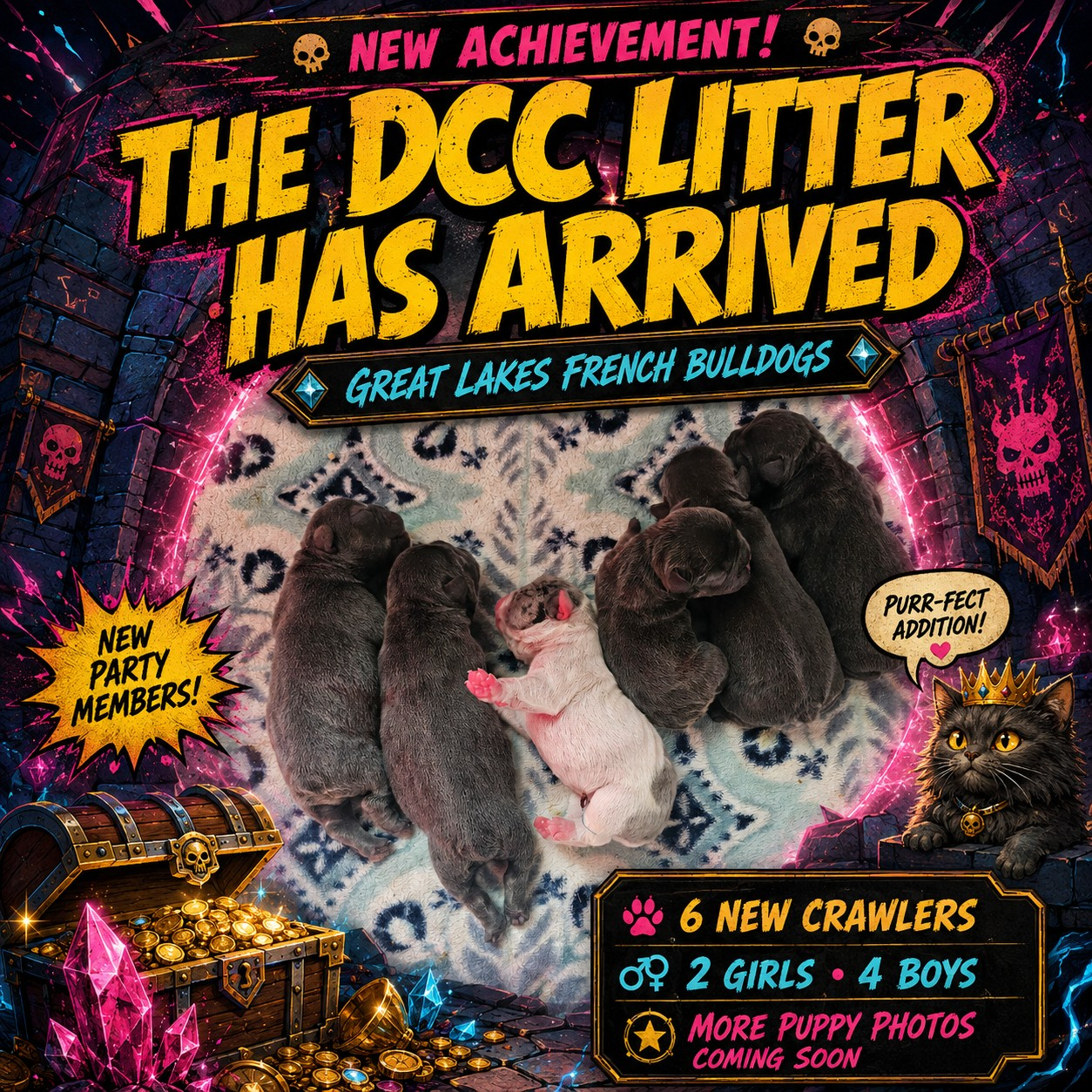 DCC litter