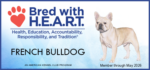 akc hearts program akc hearts program