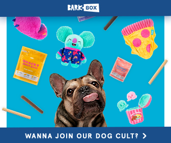 bark box 3